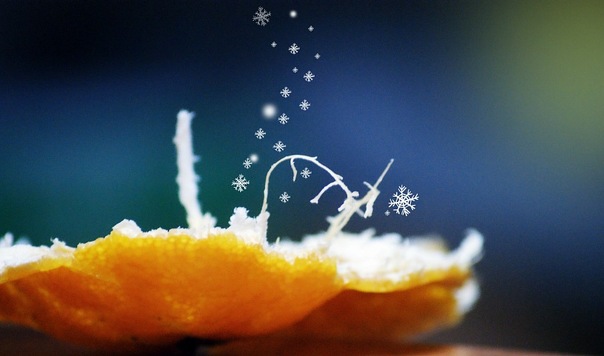 Фотографія Новогоднее настроение / Топал Арина / photographers.ua