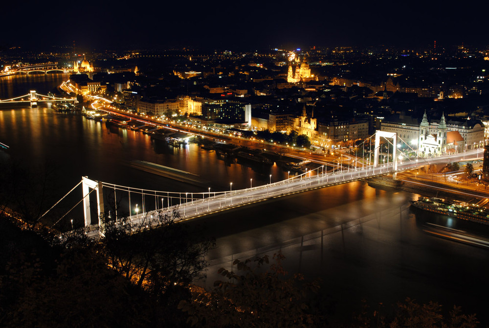 Фотографія Мост Эржебет. Будапешт / Дмитрий Данилов / photographers.ua