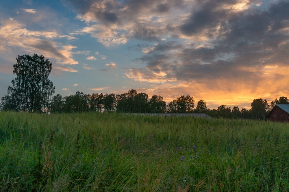 Фотографія Пейзаж / Andrii 0111 / photographers.ua