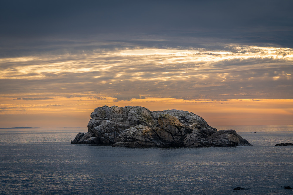 Фотографія Одинак / Andrii 0111 / photographers.ua