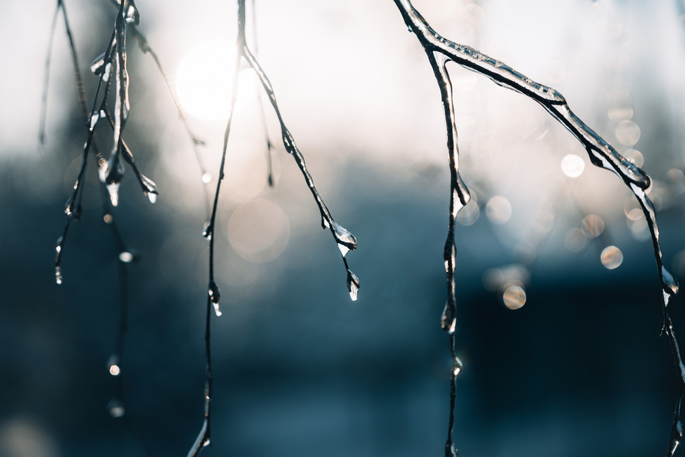 Фотографія Пейзаж / Andrii 0111 / photographers.ua