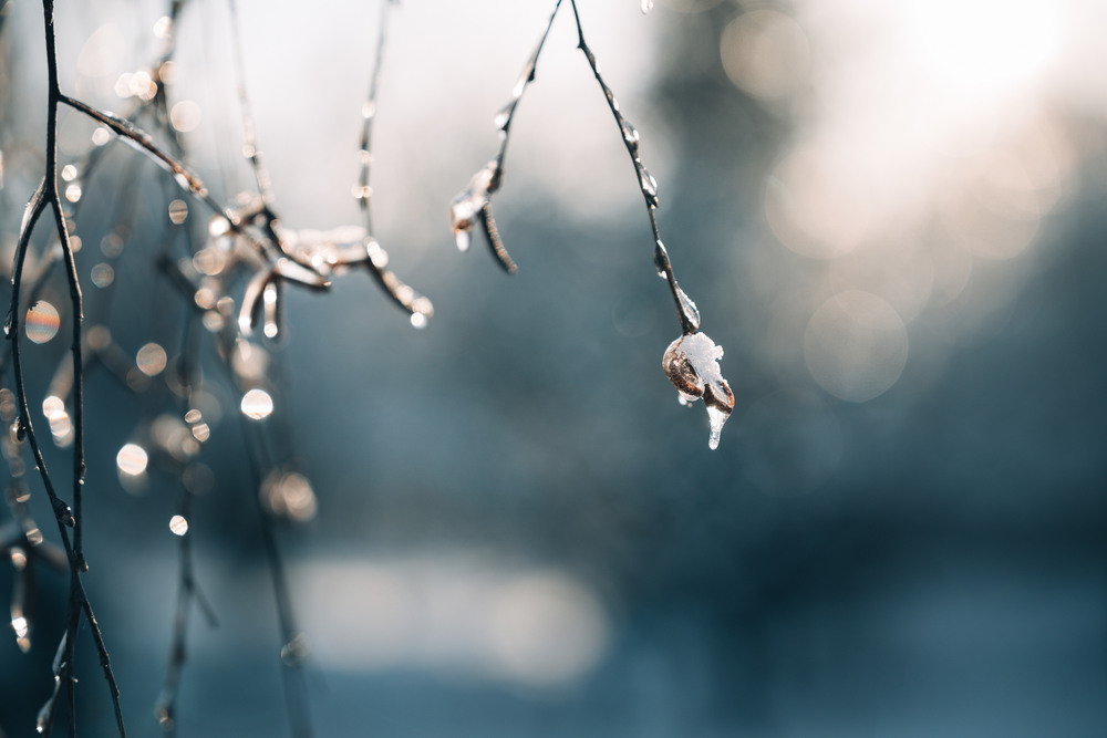 Фотографія Пейзаж / Andrii 0111 / photographers.ua