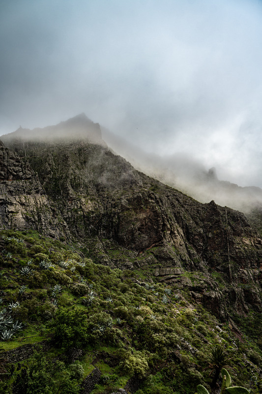 Фотографія Пейзаж / Andrii 0111 / photographers.ua