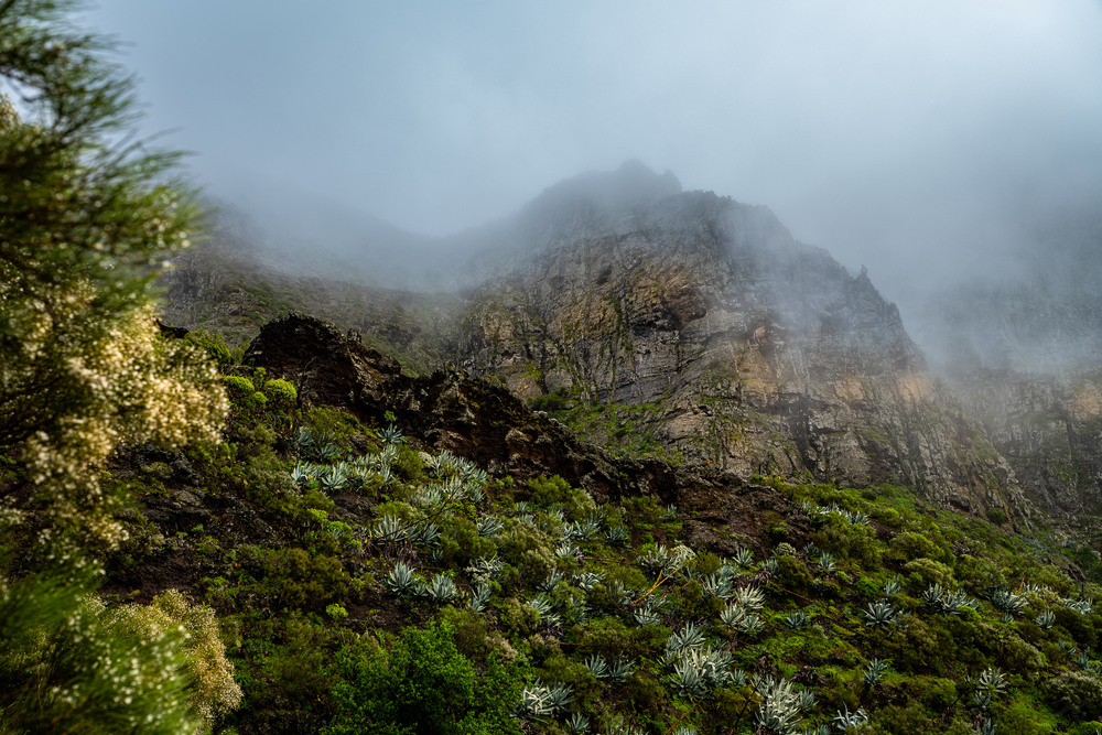 Фотографія Masca. Tenerife. / Andrii 0111 / photographers.ua