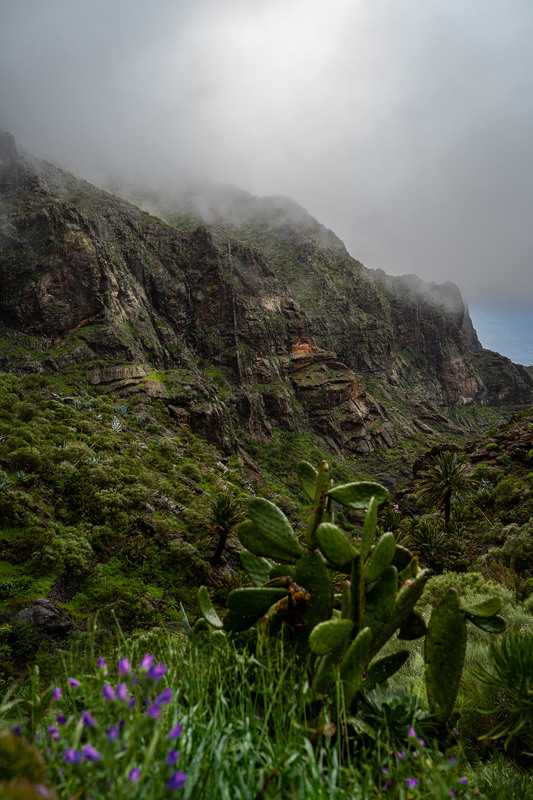 Фотографія селище Маска, Тенеріфе. / Andrii 0111 / photographers.ua