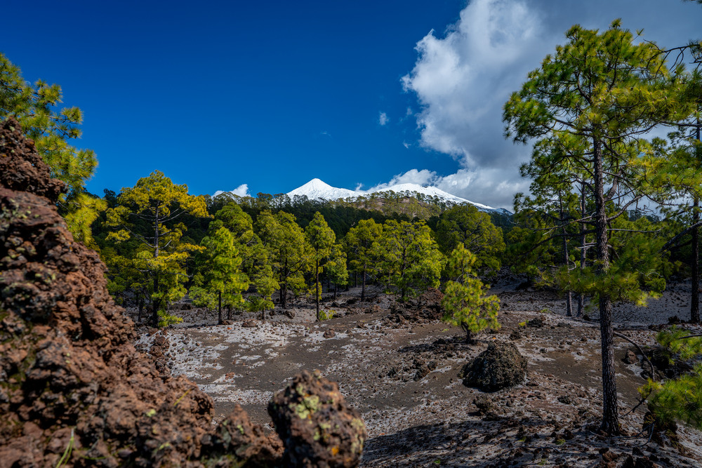 Фотографія Teide. Tenerife. / Andrii 0111 / photographers.ua