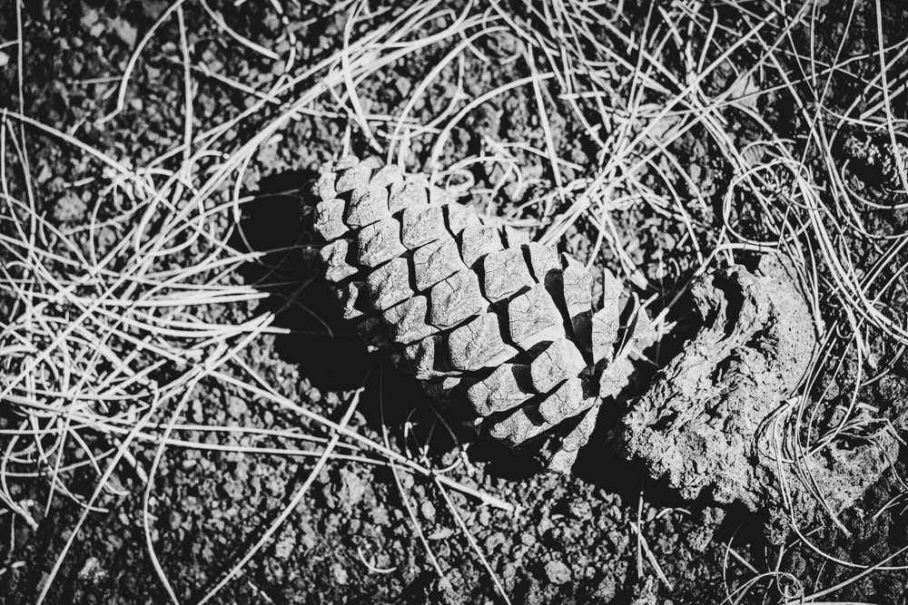 Фотографія Разное / Andrii 0111 / photographers.ua