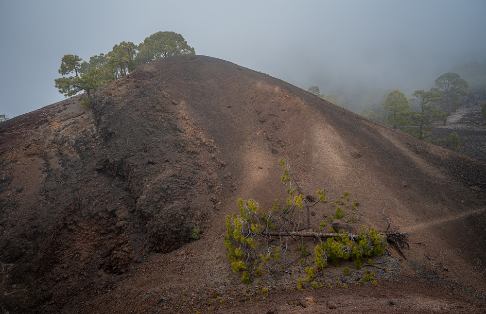 Фотографія парк Тейде. Тенеріфе. / Andrii 0111 / photographers.ua