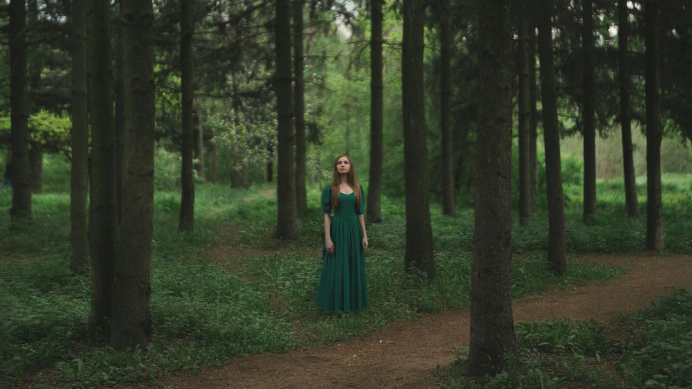 Фотографія in forest / Anastasiia Tripolka / photographers.ua