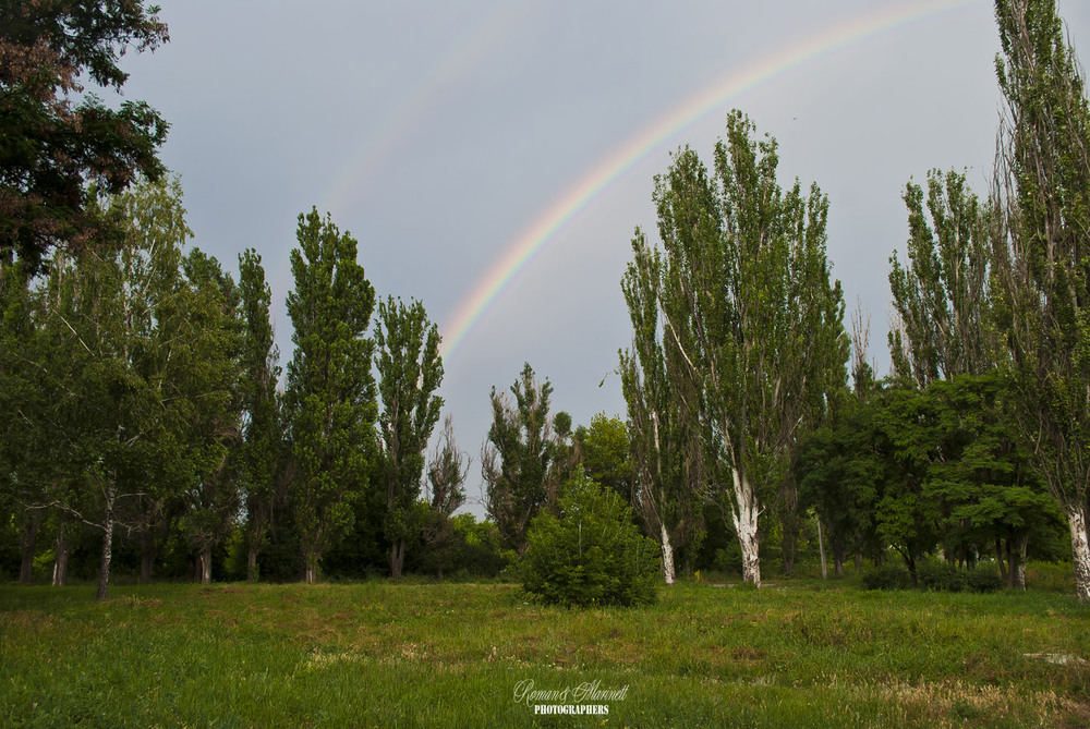 Фотографія После дождя / Roman&Marinett / photographers.ua