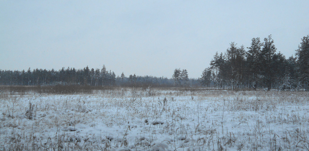 Фотографія Объятия матушки зимы / Roman&Marinett / photographers.ua