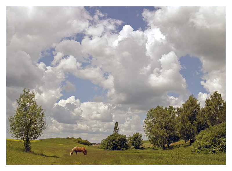 Фотографія Безмятежность / Александр Шишкин / photographers.ua