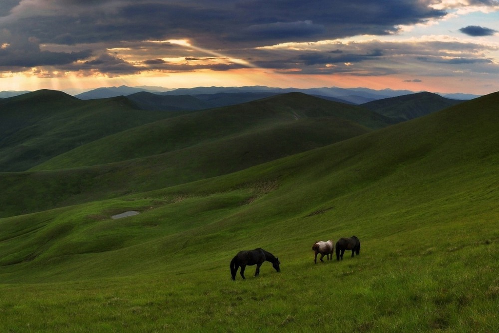 Фотографія Пейзаж / _sm_ / photographers.ua