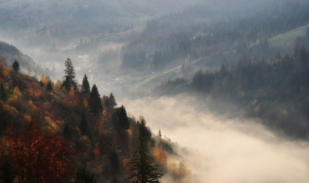 Фотографія Туман крадется по долинах / _sm_ / photographers.ua