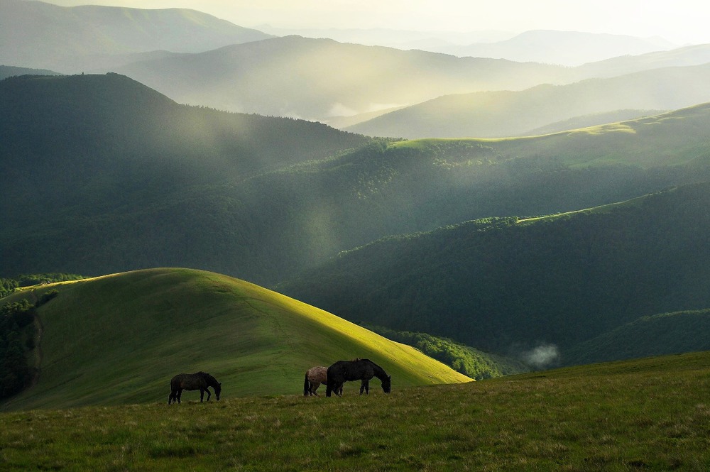 Фотографія Пейзаж / _sm_ / photographers.ua