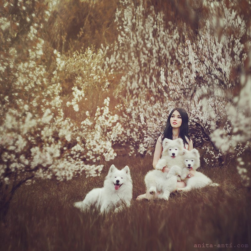 Фотографія Miracle / Ива Басара / photographers.ua