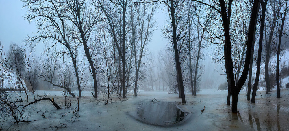 Фотографія Туманная январская грусть... / IHOR / photographers.ua