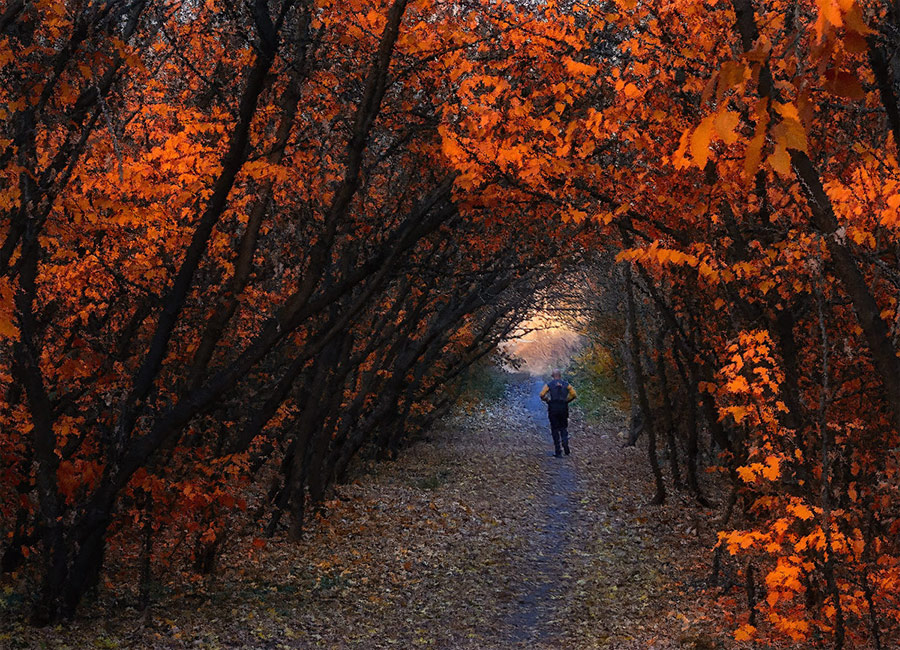 Фотографія Осенний марафон / IHOR / photographers.ua