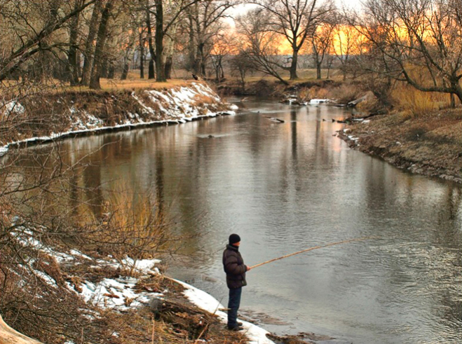 Фотографія Один, но не одинок... / Оксана Д. / photographers.ua