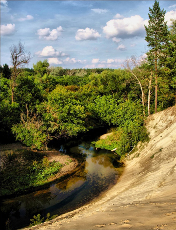 Фотографія Лесная незнакомка... / Оксана Д. / photographers.ua