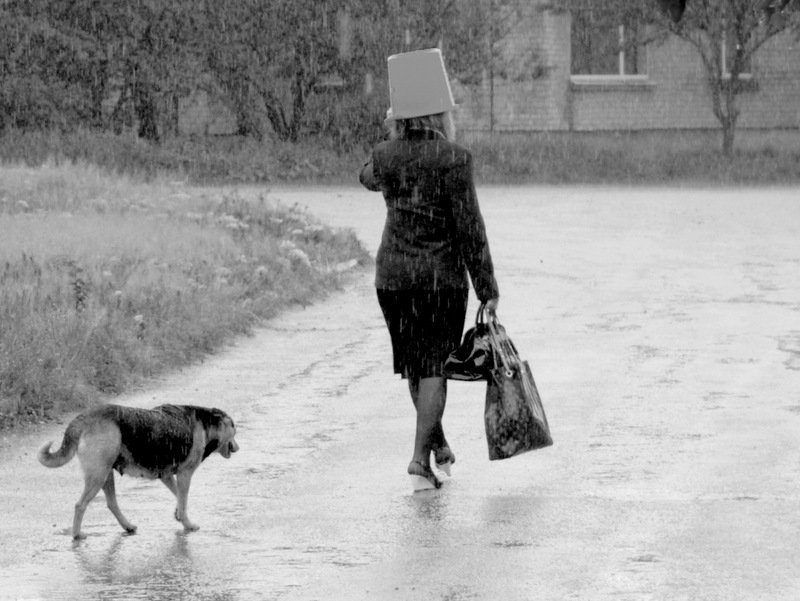 Фотографія Дама с собакой / Виктор Кошель / photographers.ua