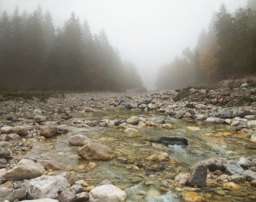 Фотографія Туманність лісової річки... / udavblog / photographers.ua