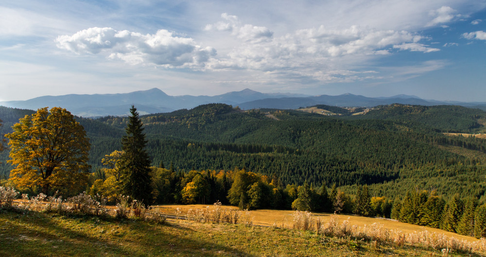 Фотографія Поглядом у далечінь, плекаючи вершини Карпат / udavblog / photographers.ua