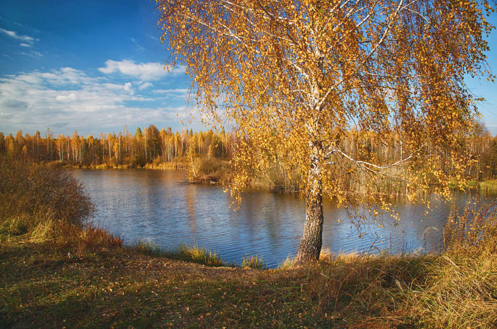 Фотографія Золото реки / udavblog / photographers.ua