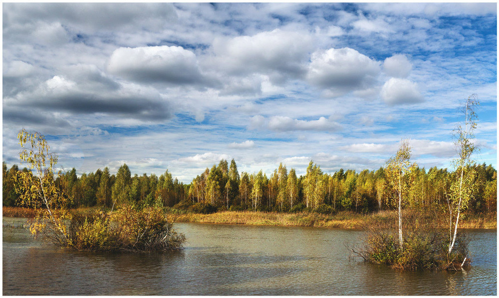 Фотографія Класично про осінь "Березові острови" / udavblog / photographers.ua