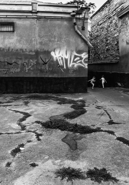 Фотографія Жанр / Плотницкий С. / photographers.ua