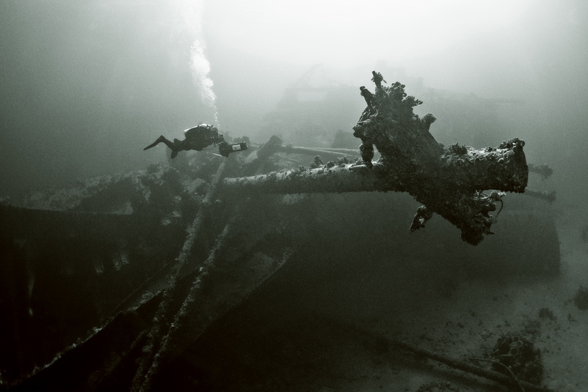 Фотографія железо красного моря / petro pavlenko / photographers.ua