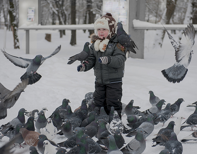 Фотографія Детский мир / Виктор Бойко / photographers.ua