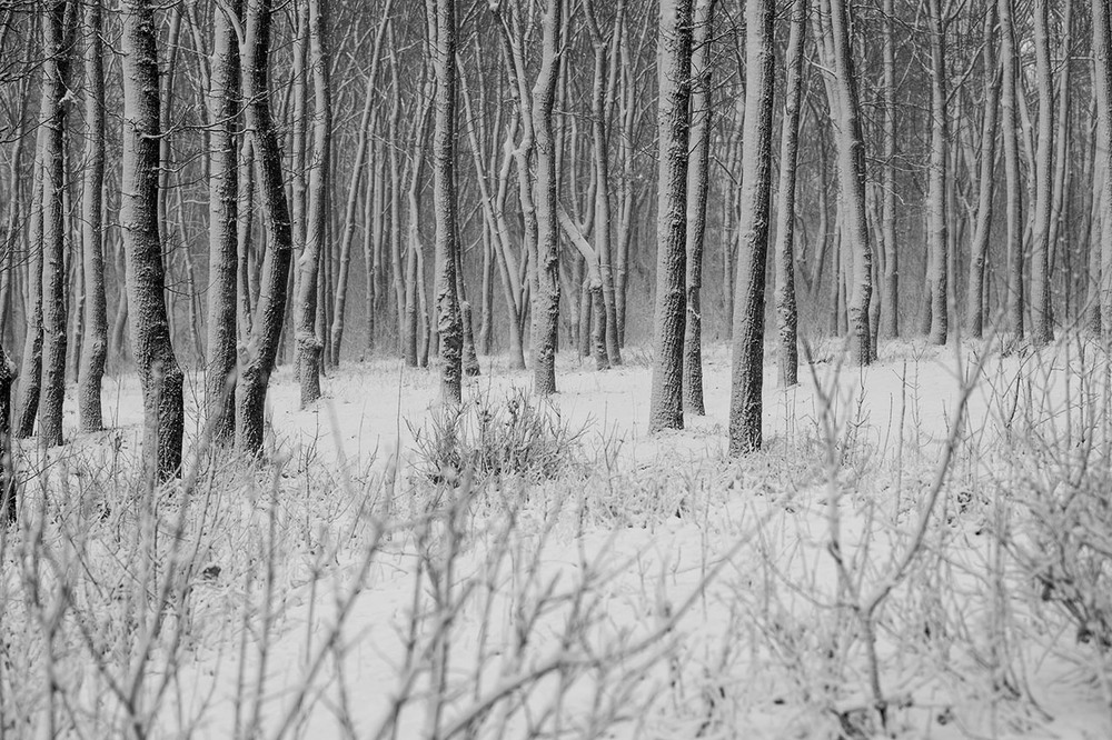 Фотографія Пейзаж / Виктор Бойко / photographers.ua