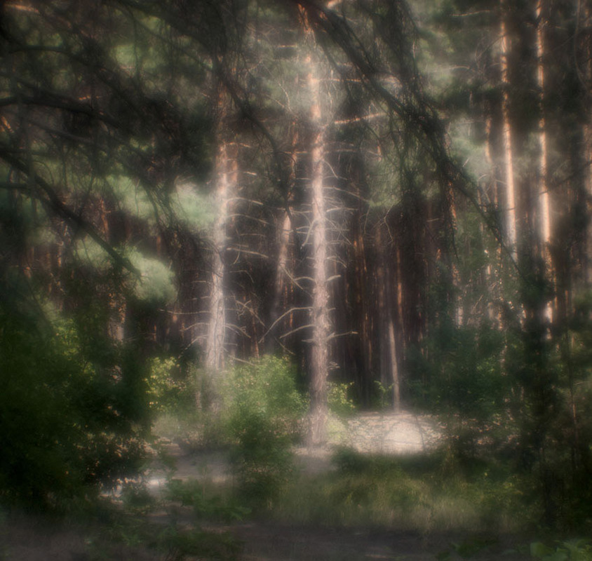 Фотографія Пейзаж / Виктор Бойко / photographers.ua