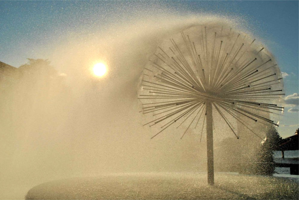 Фотографія Одуванчик / Infinitum / photographers.ua