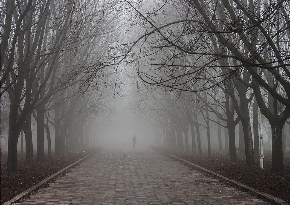 Фотографія Утренний туман / Sergey Potapenko / photographers.ua