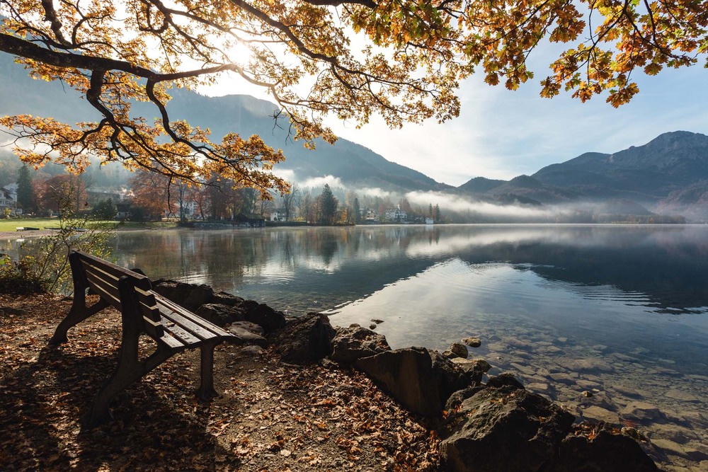 Фотографія Альпийское осенее утро / Черніков Олександр / photographers.ua
