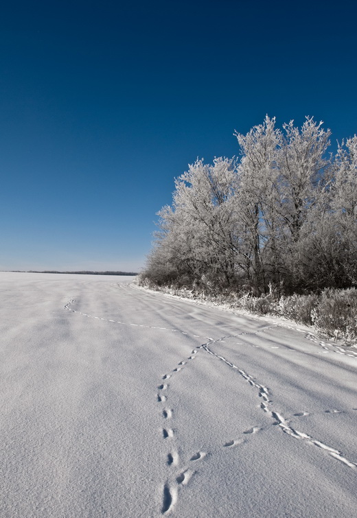 Фотографія Следы зимы / Андрей Богачев / photographers.ua