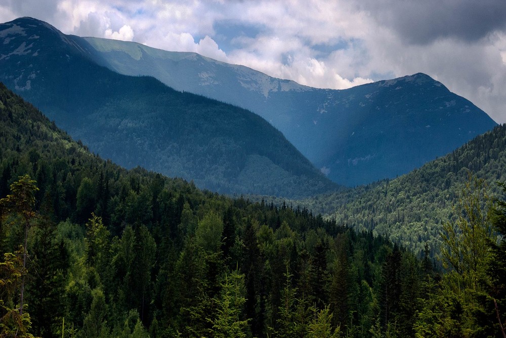 Фотографія Неровности местного значения / Stas Picoon / photographers.ua