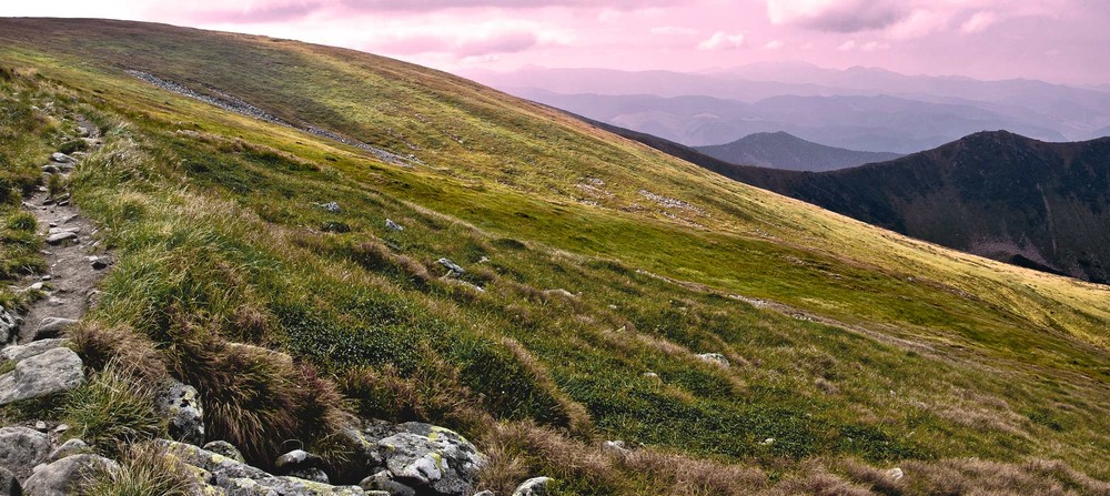 Фотографія Melodiya of light / Stas Picoon / photographers.ua