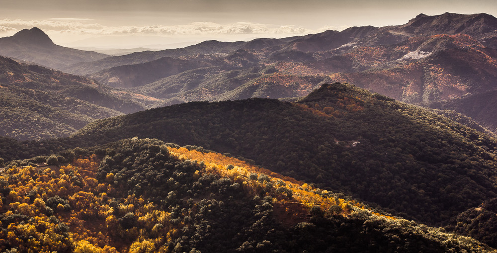 Фотографія Andalucia / Rostislav Philippenko / photographers.ua