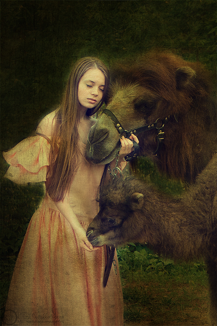 Фотографія *** / Novohatskaya Ellina / photographers.ua