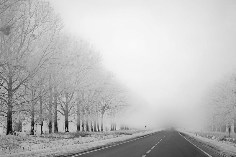Фотографія Зимовий туман 2 / Роман Бобесюк / photographers.ua