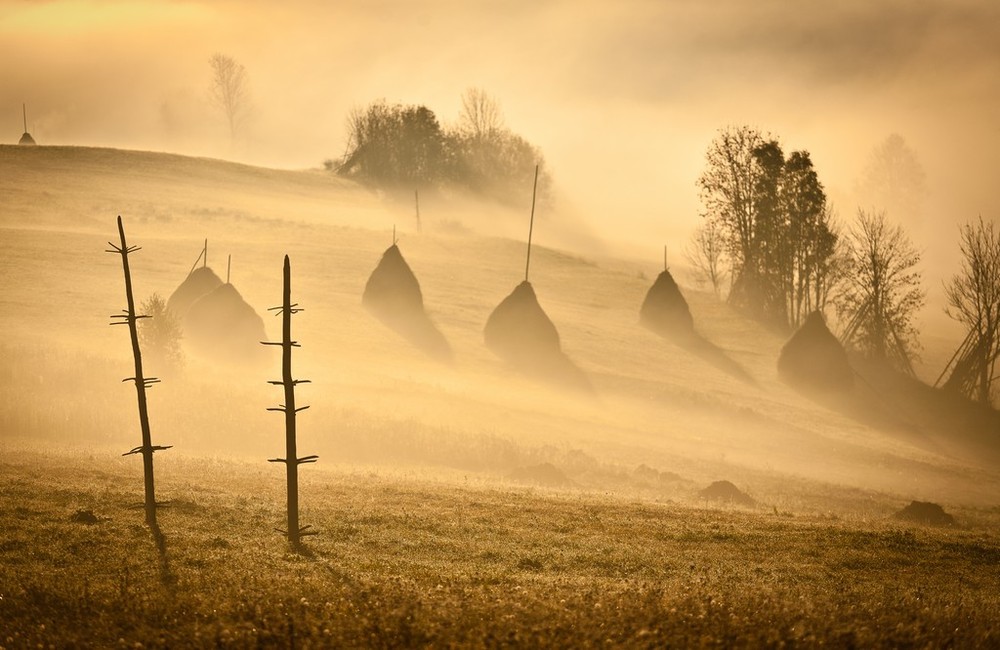 Фотографія туманное утро Карпат / Танюшан / photographers.ua