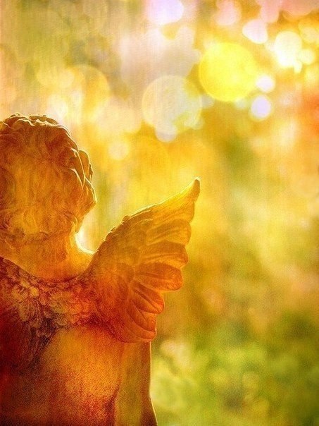 Фотографія Город, архитектура / Viola / photographers.ua