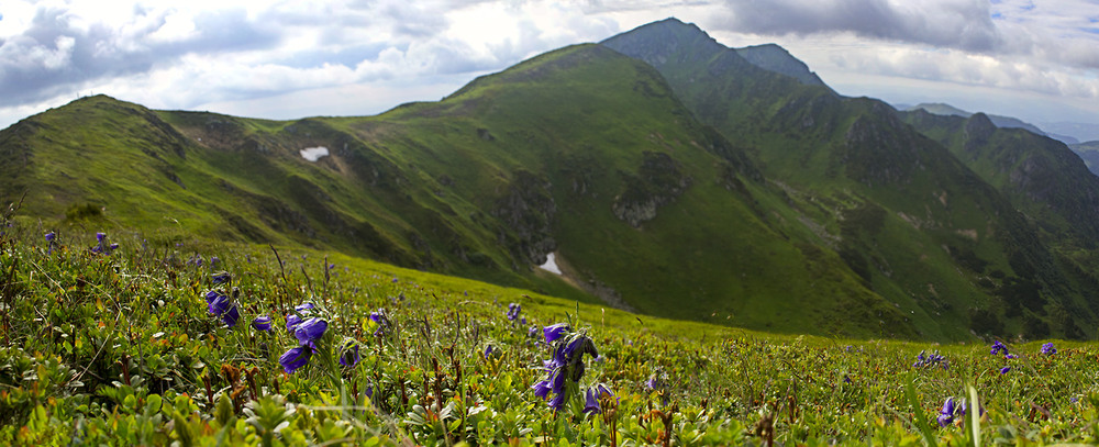Фотографія ...десь там на кордоні... / prybluda / photographers.ua