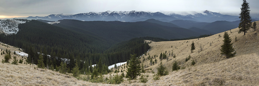 Фотографія *** / prybluda / photographers.ua