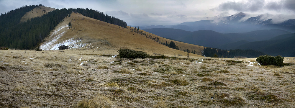 Фотографія **-** / prybluda / photographers.ua