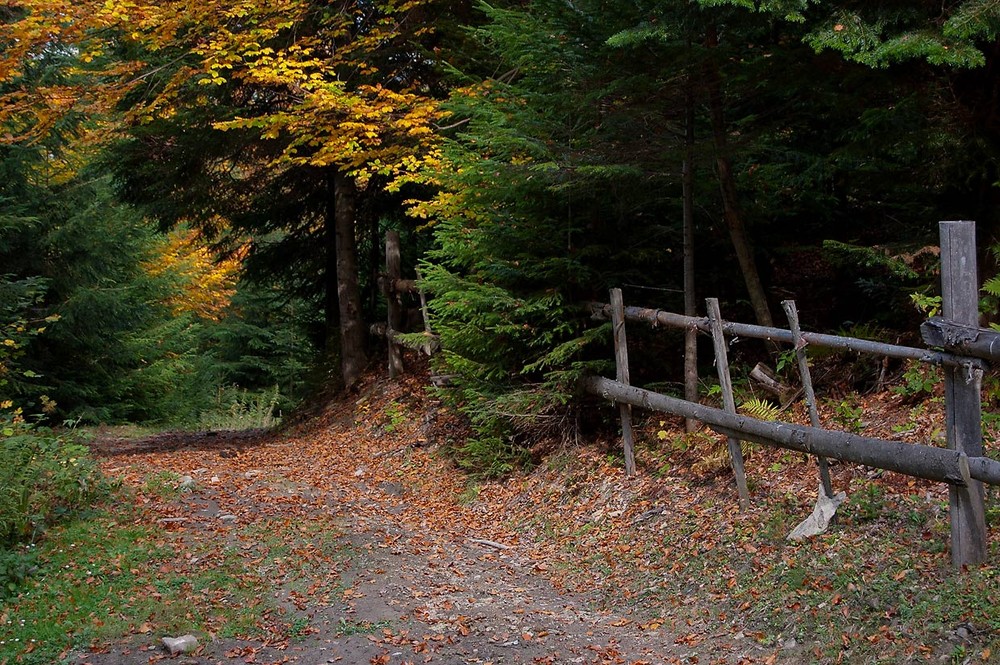 Фотографія Путешествие / prybluda / photographers.ua