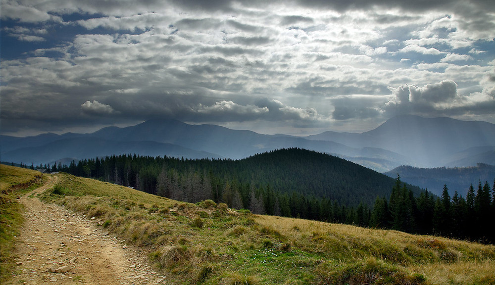 Фотографія *** / prybluda / photographers.ua